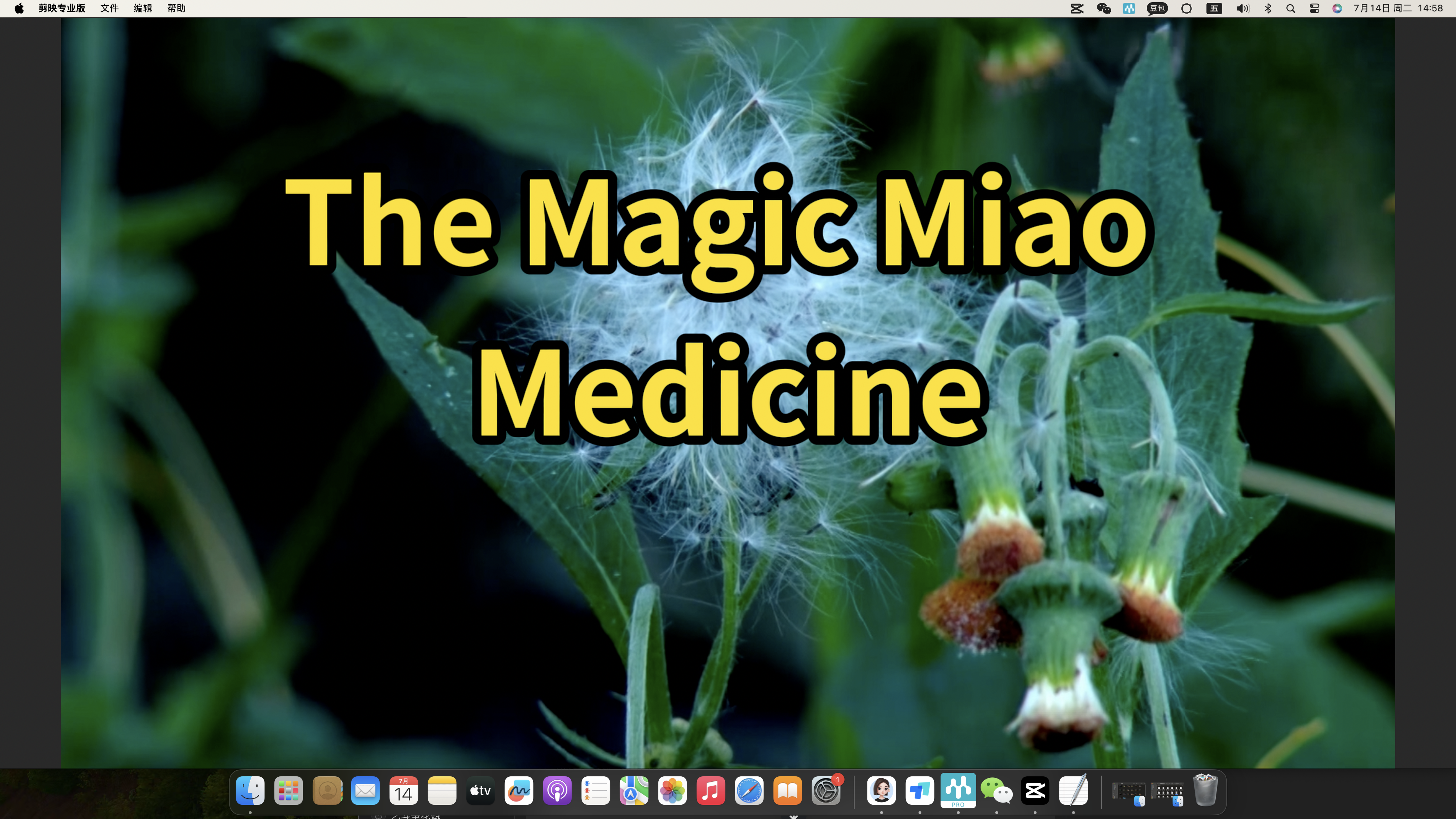 The Magic Miao Medicine