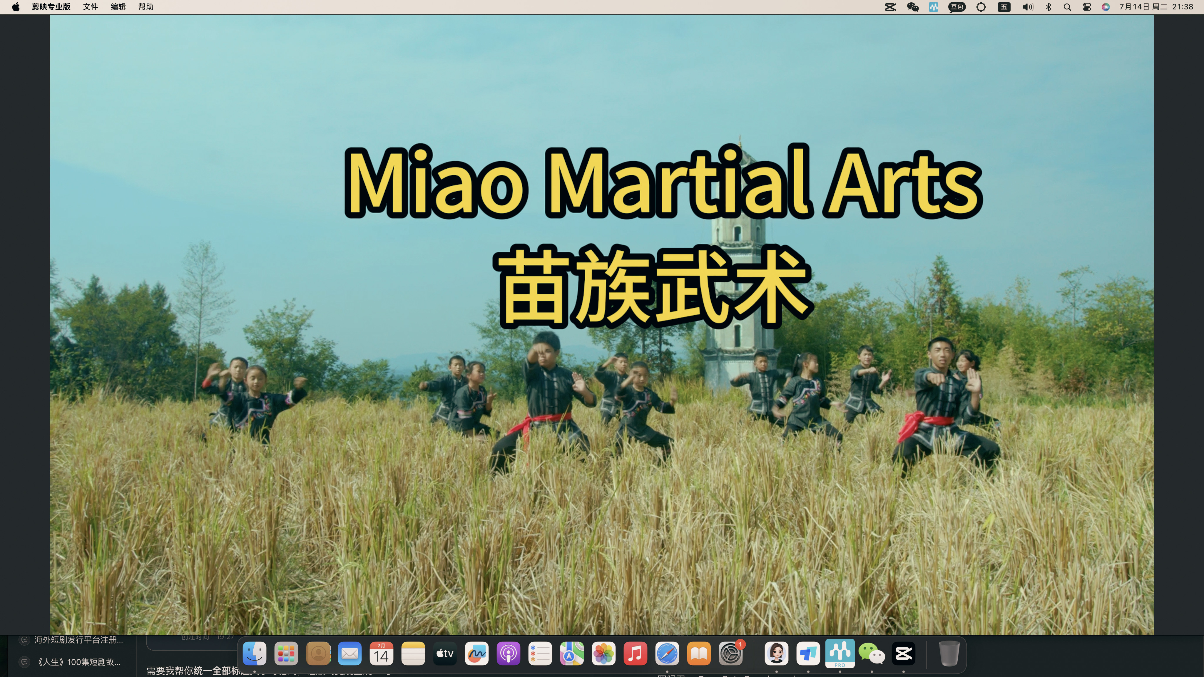 Miao Martial Arts